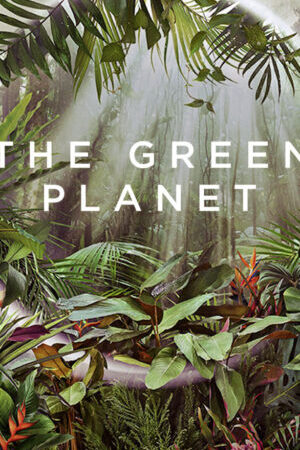 Tập 1 Hành Tinh Xanh - The Green Planet (2022)-The Green Planet