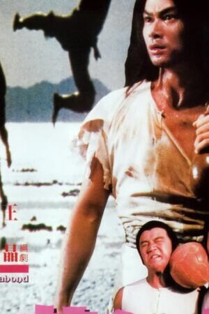 Xem phim Thiếu Niên Tô Khất Nhi - The Young Vagabond (1985)