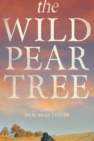 Tập full Cây Lê Dại - The Wild Pear Tree (2018)-The Wild Pear Tree
