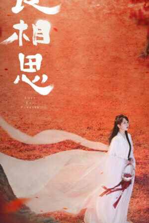 Tập 32 Trường Tương Tư - Lost You Forever (2023)-Lost You Forever
