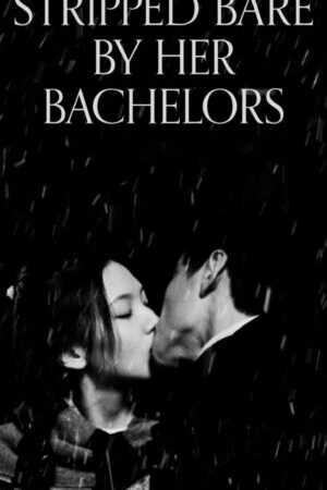 Xem phim Virgin Stripped Bare by Her Bachelors - Virgin Stripped Bare by Her Bachelors (2000)