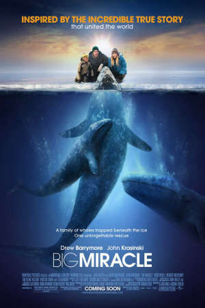 Xem phim Big Miracle - Phép Màu (2011)