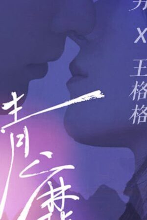 Xem phim Tình Mị  - A Love Beyond Secrets (2024)