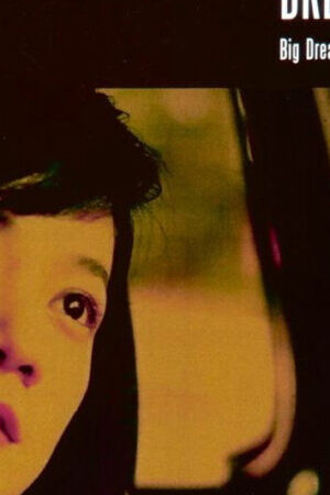 Xem phim Cuộc Sống Mỹ Mãn  - Singapore Dreaming (2006)