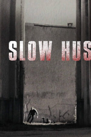 Xem phim Sự Thúc Đẩy Chậm Chạp  - The Slow Hustle (2021)